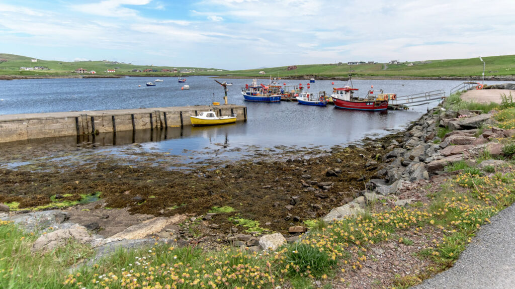 Aith Voe in Shetland