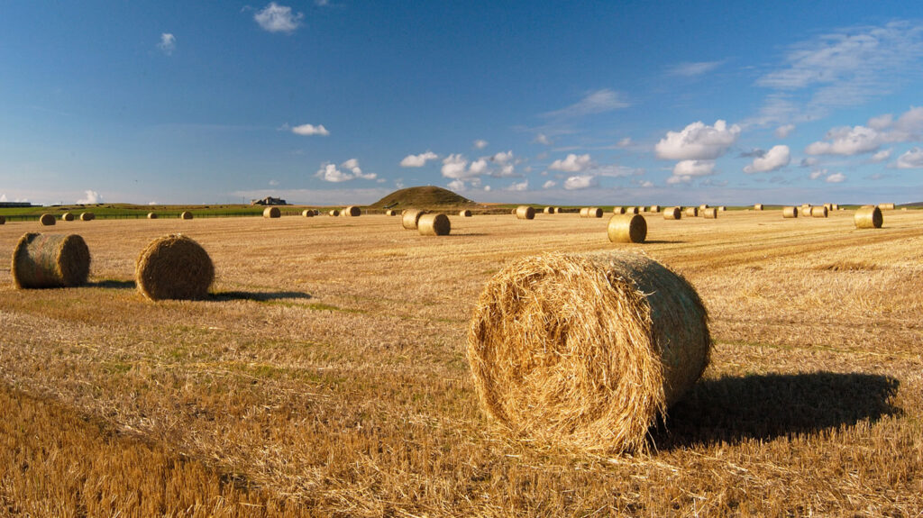 Maeshowe, a Neolithic tomb in Orkney, amidst farmland