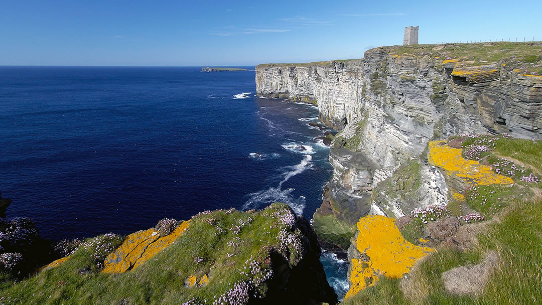 Marwick Head in Orkney is a popular seabird cliff