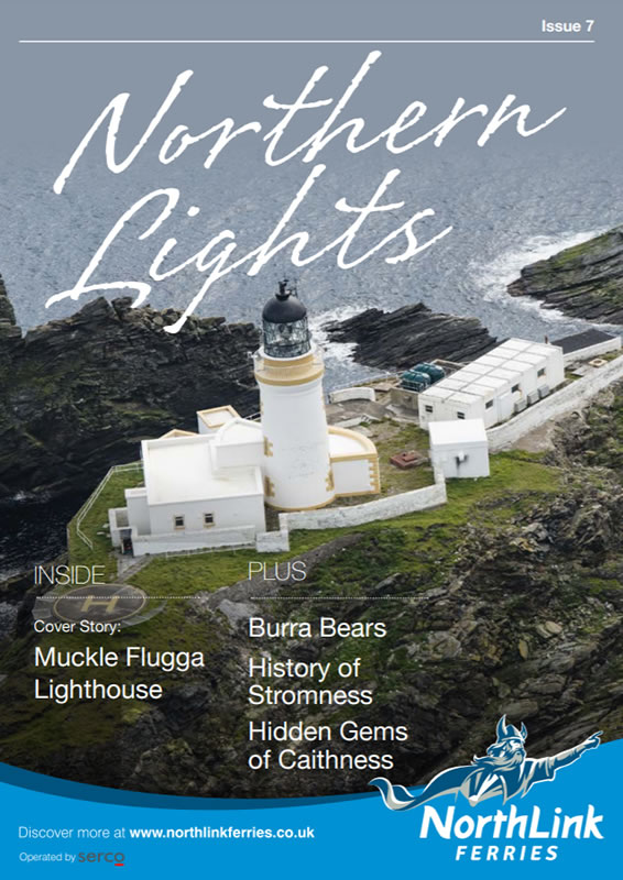 Northern Lights Issue 7