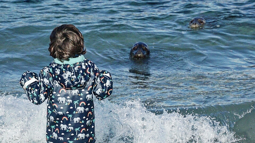 Rohan at Seal beach, Sanik Beach Burra