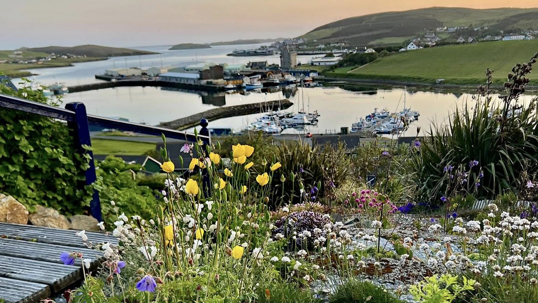 Sarah Kays beautiful garden in Shetland