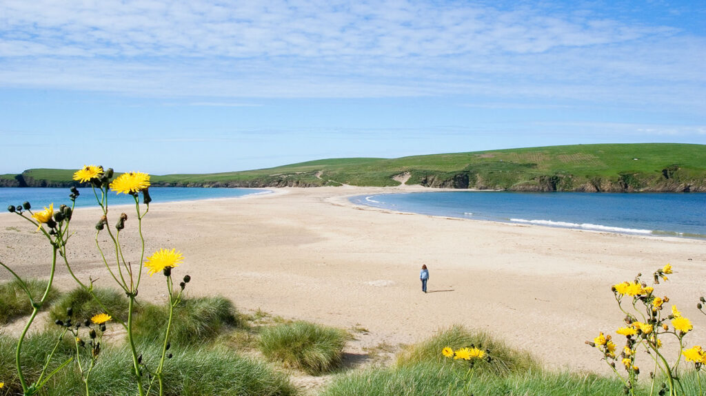 The sand tombolo connecting St Ninian's Isle to the mainland of Shetland