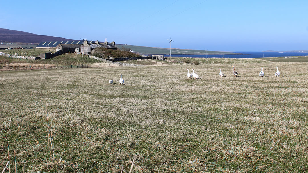 The Bu, childhood home of Edwin Muir