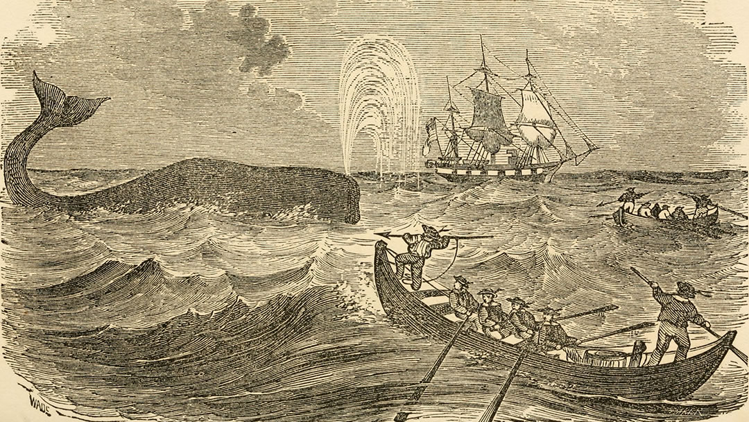 The Arctic whaleman image 