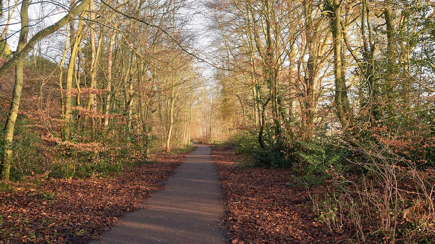 8 Aberdeenshire walks to enjoy this Autumn and Winter