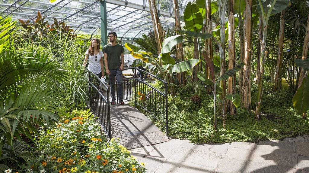 Walking around the Winter Gardens in Duthie Park