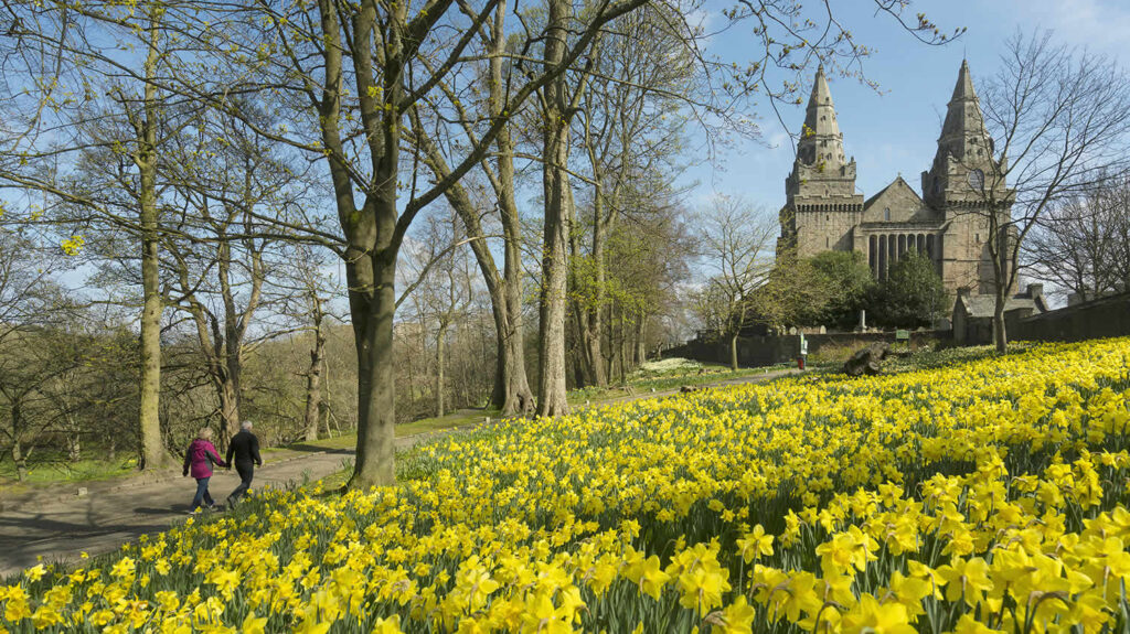 Walking up to St Machar's Cathedral