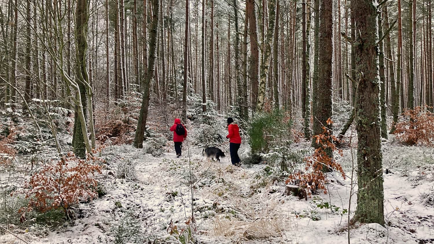 5 lovely winter walks in Caithness